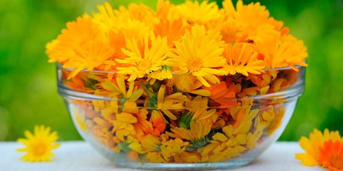 Calendula flowers for antifungal infusion preparation