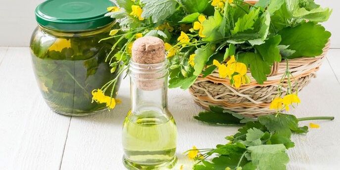 celandine oil against fungi